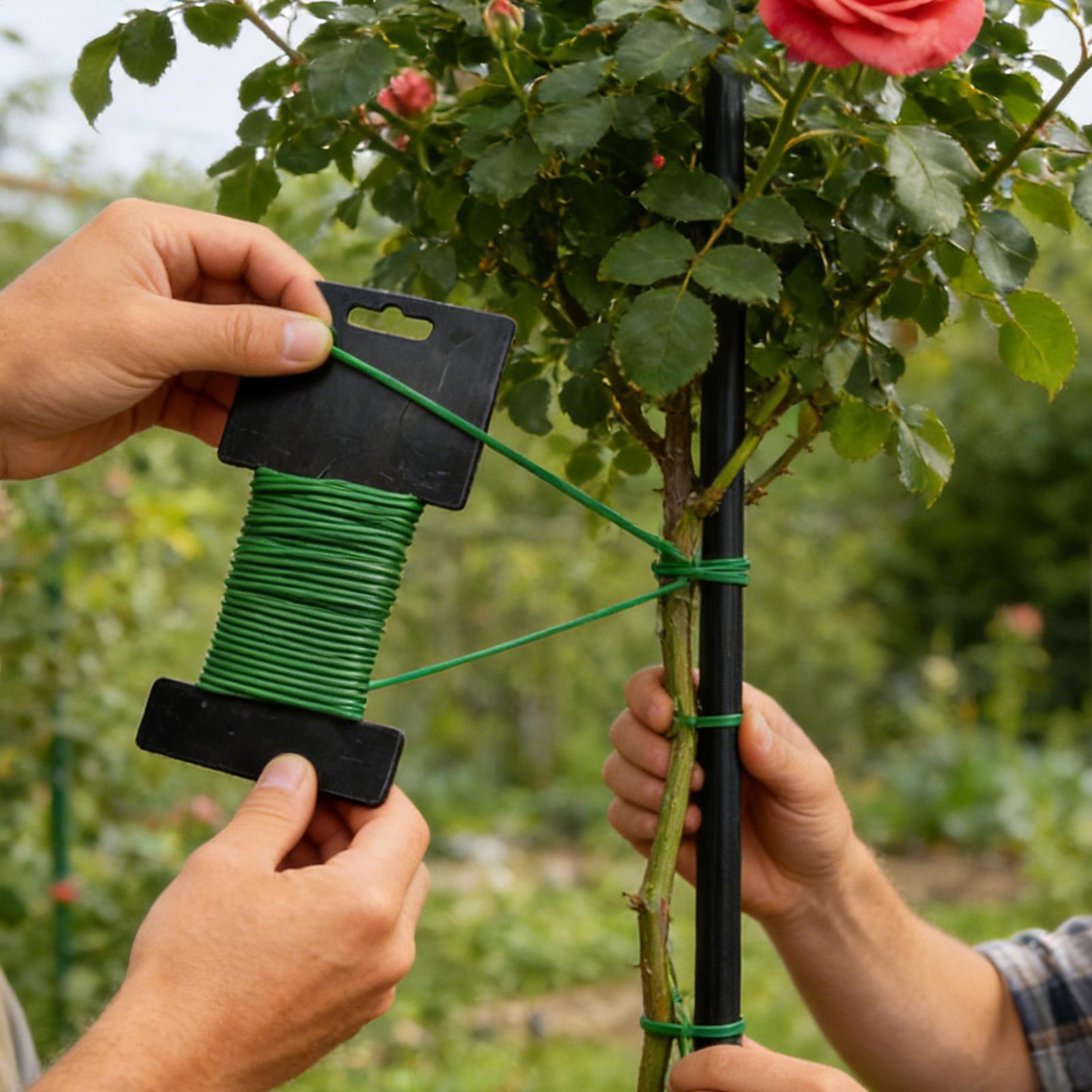 10m Gardening Ties Plant Suppo - Cable Lock Flexible บทวิจารณ์และราคา